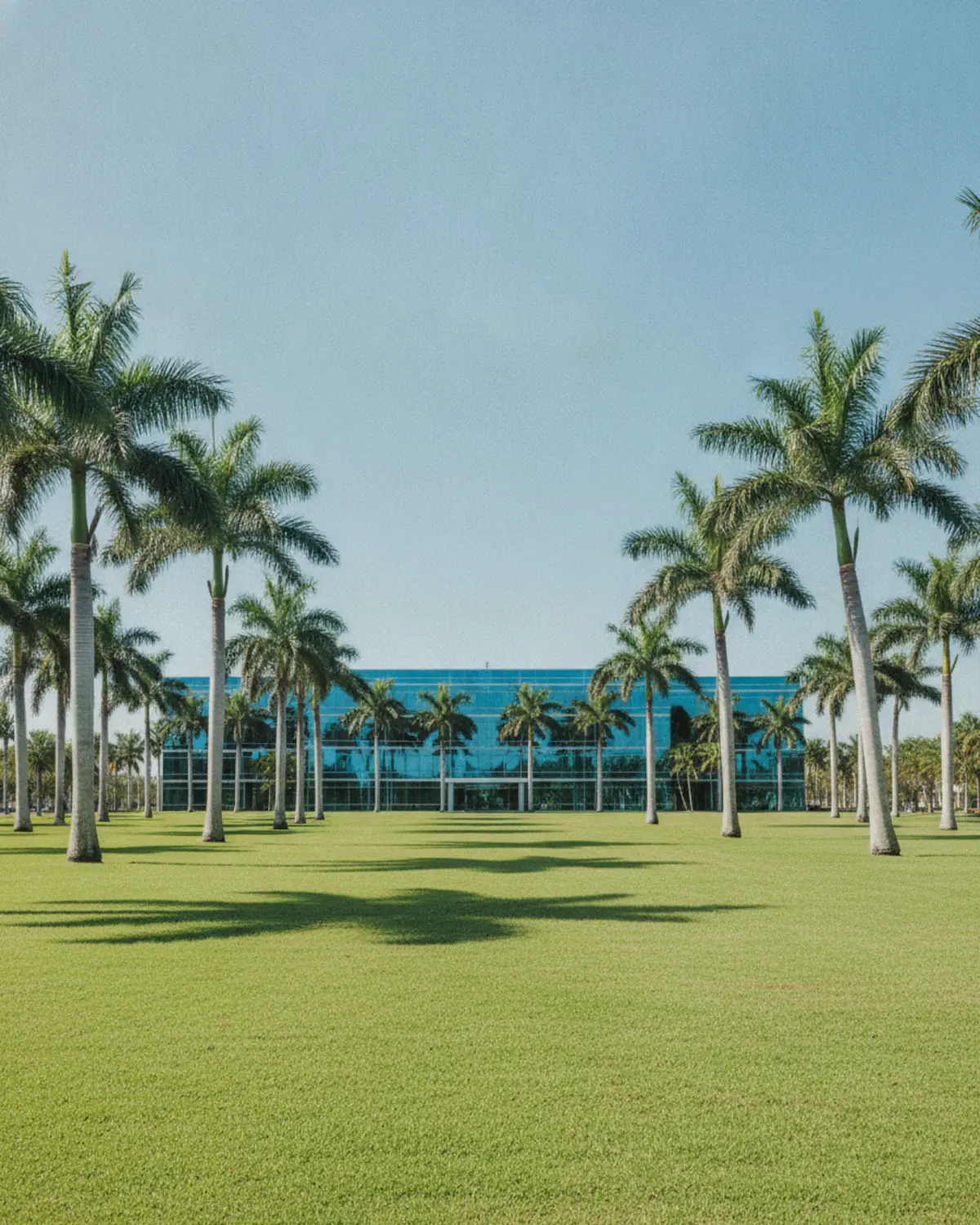 A community turf program by GRC Services