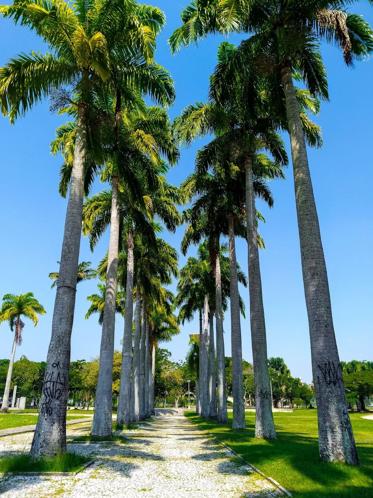 A community and HOA landscape maintained by GRC Services