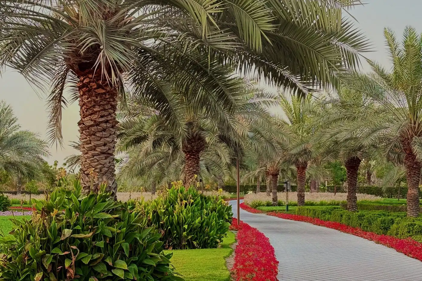 A palm-lined commercial boulevard maintained by GRC Services